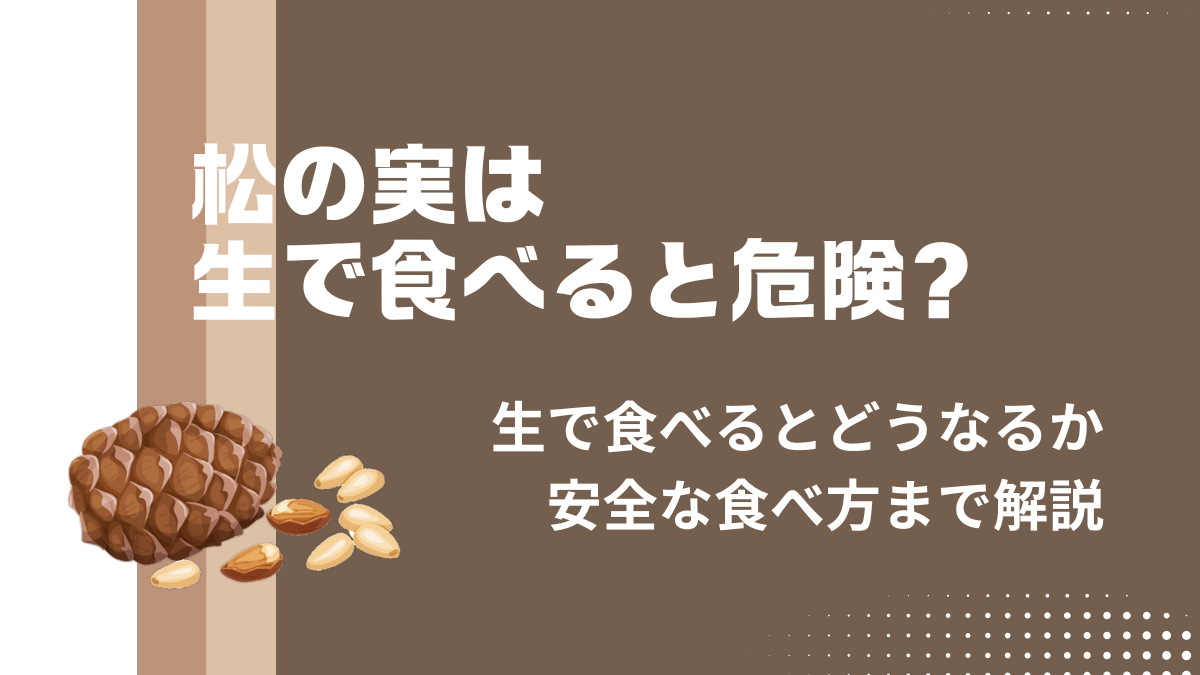 松の実は生だと危険？生で食べたらどうなるか・安全な食べ方やレシピを紹介