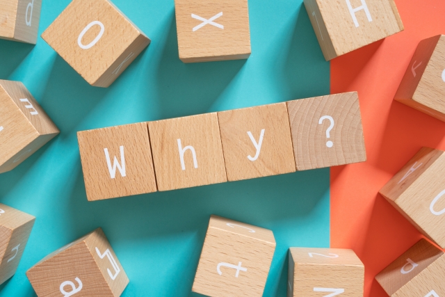 「why」と書かれた積み木のブロックの画像
