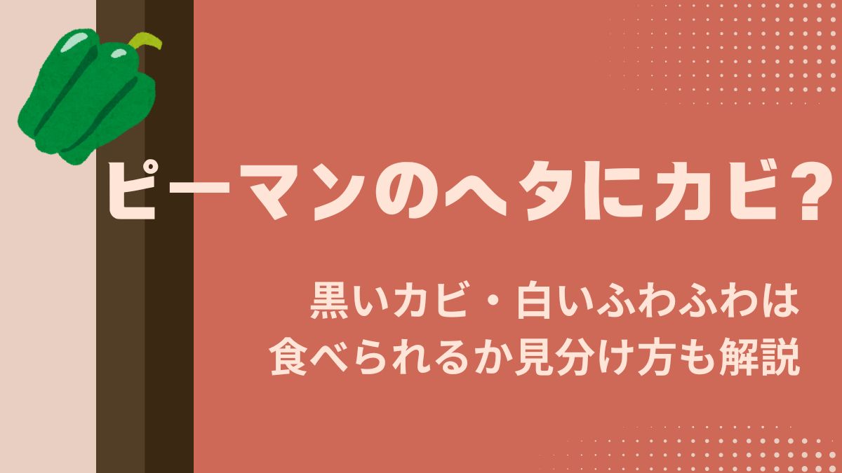 ピーマンのヘタにカビ？黒いカビ・白いふわふわは食べられるか見分け方も解説