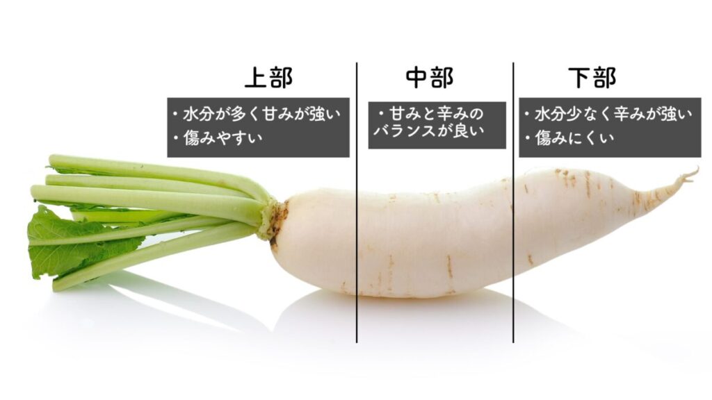 大根を3等分にして説明した画像